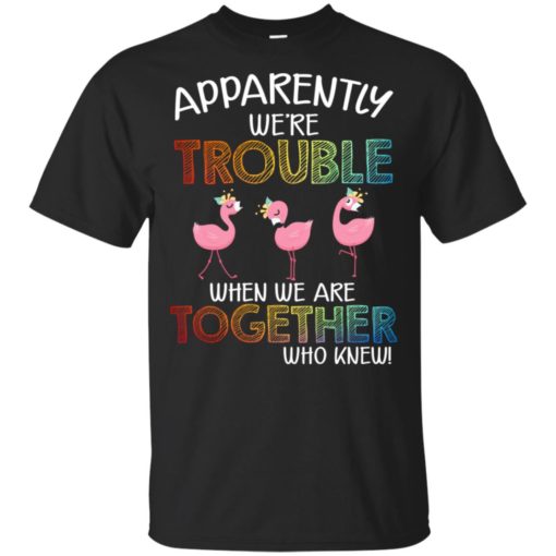 Flamingo apparently were trouble when we are together who knew shirt