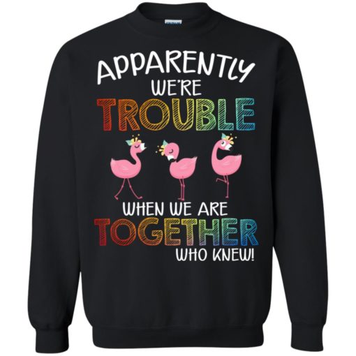 Flamingo apparently were trouble when we are together who knew shirt
