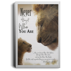 The Lion king Never forget who you are poster, canvas