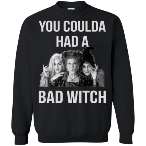 You coulda had a bad witch shirt