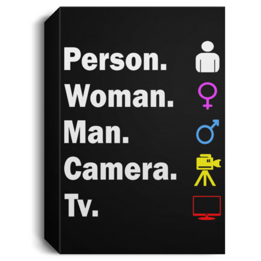 Person Woman Man Camera Tv poster, canvas