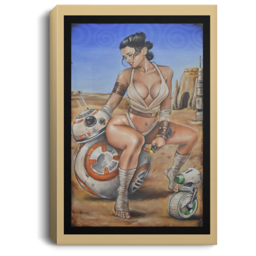 Rey Sexy And Desert Droid Robots poster, canvas