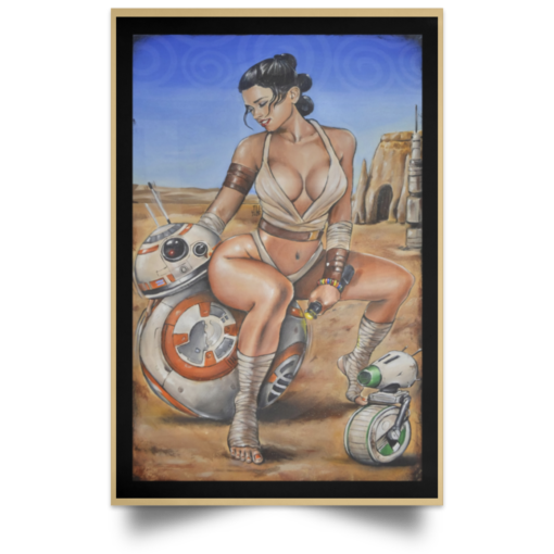 Rey Sexy And Desert Droid Robots poster, canvas