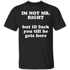 I am not Mr Right but I will fuck you till he gets here shirt