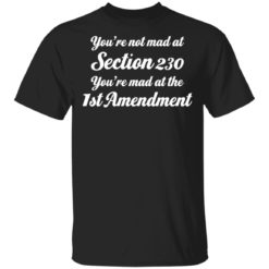 You’re not mad at section 230 you’re mad at the 1st amendment shirt