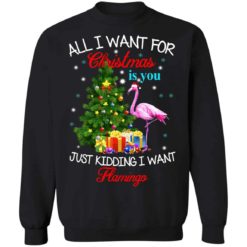 All i want for Christmas is you just kidding i want flamingo Christmas sweater