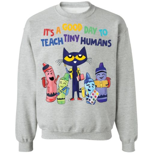 Cat it’s a good day to teach tiny humans shirt