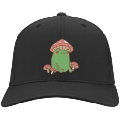 Embroidered frog with mushroom hat, cap