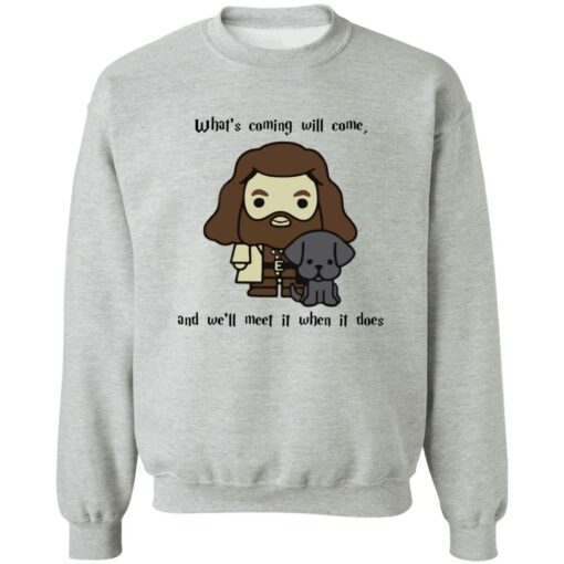 Hagrid What’s coming will come and we’ll meet it when it does shirt
