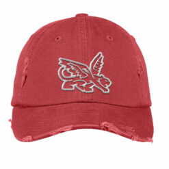 Texas Peagle Embroidery Hat